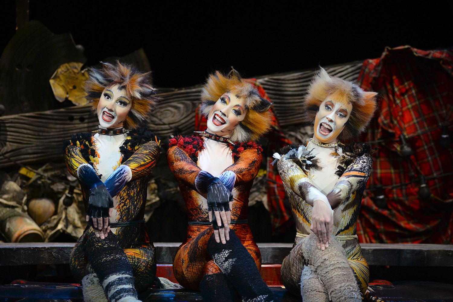 CATS | BB Promotion/ATG Entertainment